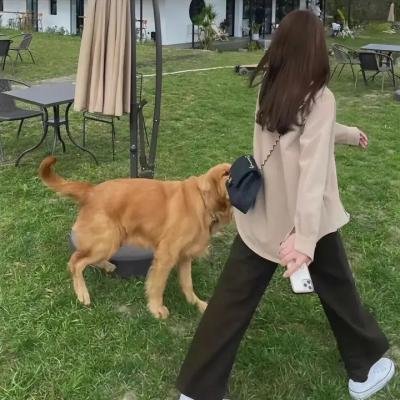 大灰熊2